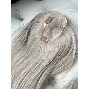 MINI Silk Women's Hair...