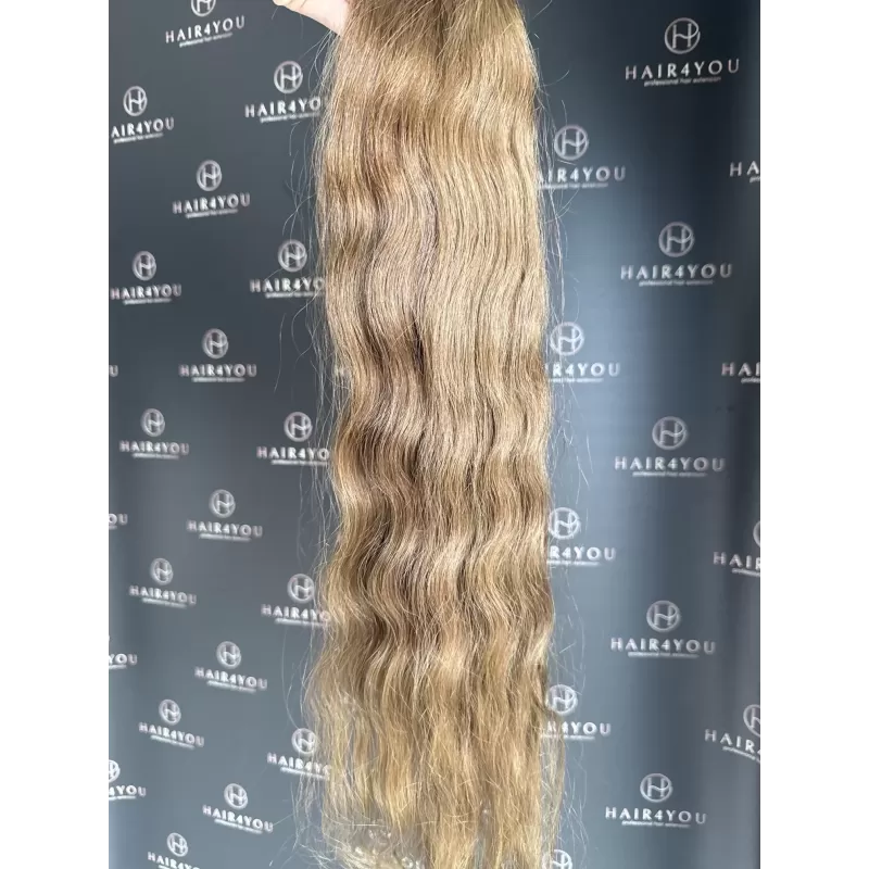 66cm 105g Slavic Hair Bundle from One Head