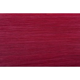 róż EUROPEJSKIE 50cm REMY do zgrzewarki
